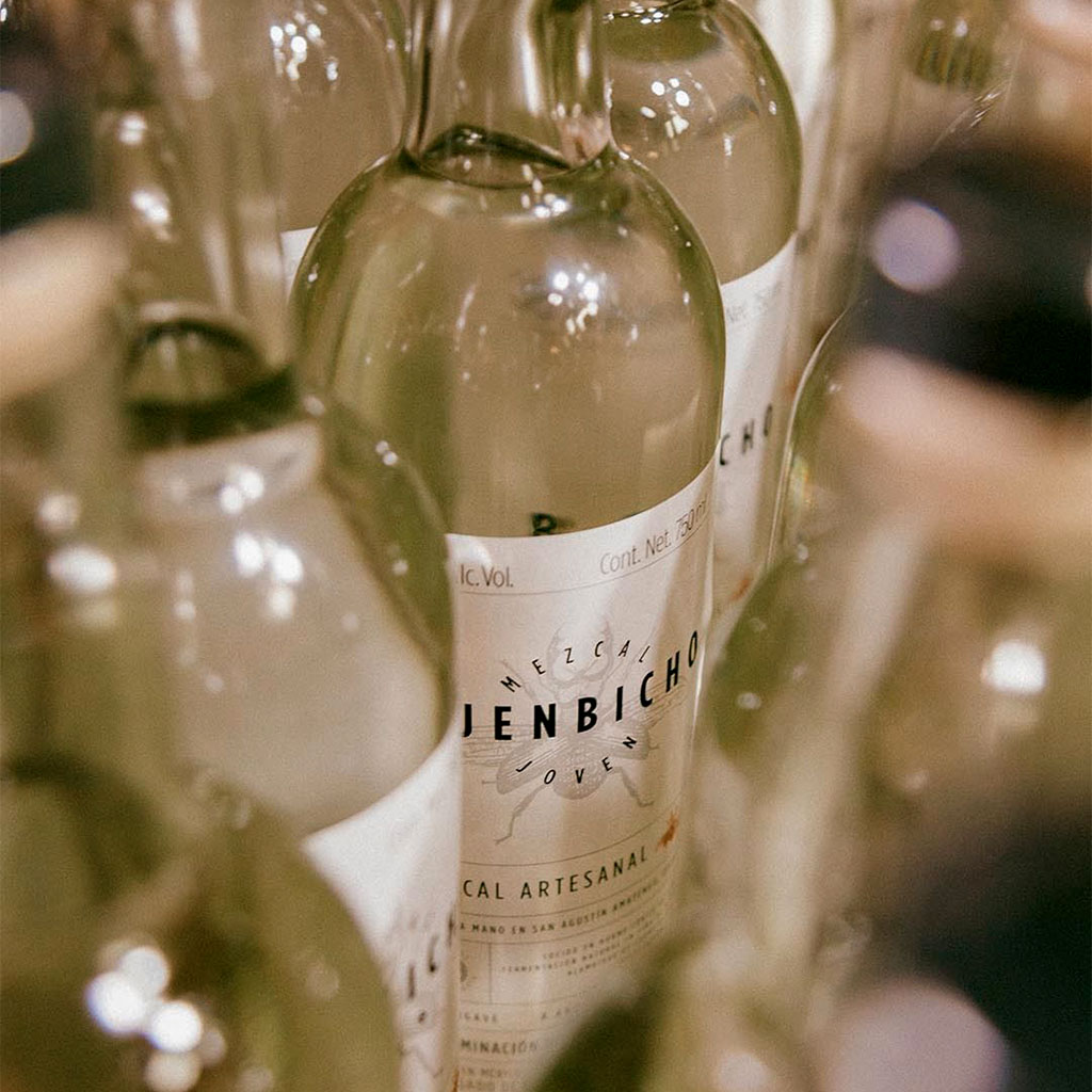 230705_Work_Covers-fotosBuenbicho