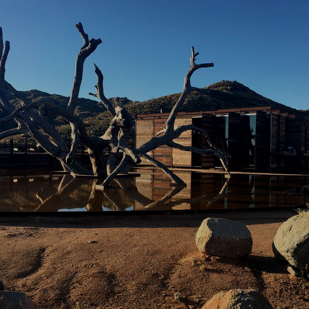 230705_Work_Covers-fotosMesa de trabajo 9