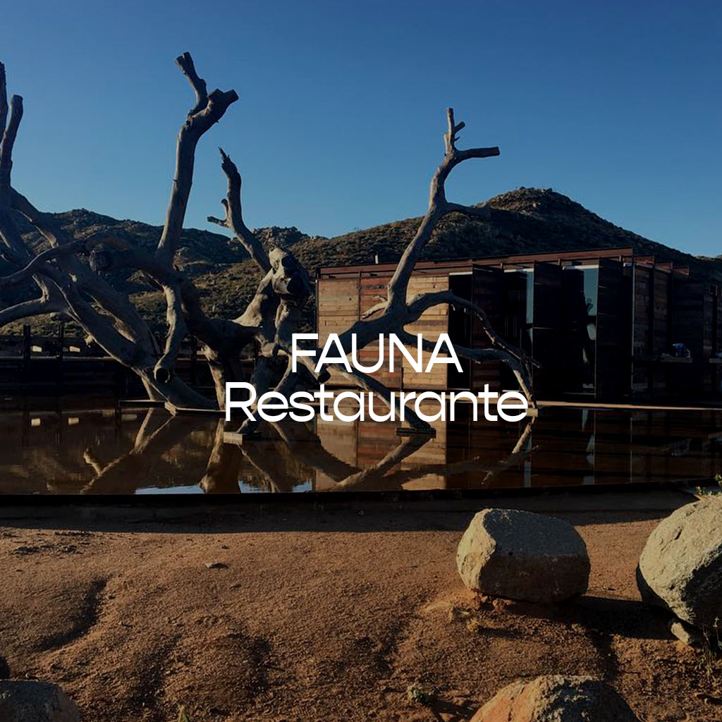 230705_Work_Covers-fotosMesa de trabajo 9